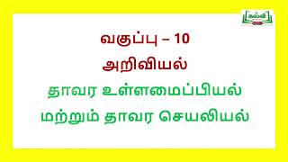 Class 10  வகுப்பு 10  ஆய்வுக்கூடம்  அறிவியல்  தாவர உள்ளமைப்பியல் மற்றும் செயலியல்  TM  KalviTv [upl. by Anin]