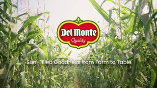 Del Monte Asia Brand Video quotSunFilled Goodness from Farm to Tablequot  Kikkoman [upl. by Dever603]