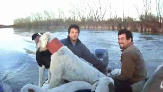 Caza del Jabali con perros y cuchillo  costa del Rio Negro [upl. by Anawyt112]