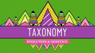 Taxonomy Lifes Filing System  Crash Course Biology 19 [upl. by Siderf]