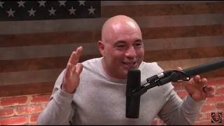 Joe Rogan on Kanye Wests Crazy Genius [upl. by Jovi]