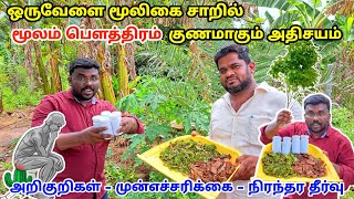 மூலம் மலச்சிக்கல் வேரோடு சரியாக  Pails problem solution at home tamil Hemorrhoids Piles treatment [upl. by Sherri152]