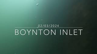 Dropping A Camera Into The Boynton Beach Inlet Lionfish and More [upl. by Arreik525]