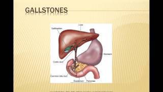 GI Biliary System [upl. by Notslar345]