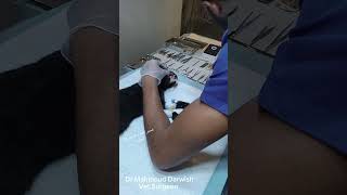 Gingival and dental examination before surgery drmahmouddarwish دكتورمحموددرويش [upl. by Erlene637]