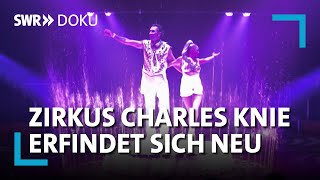 Wassershow statt Tiere  Zirkus Charles Knie erfindet sich neu  SWR Doku [upl. by Teriann]