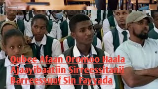 Qubee Afaan Oromoo Haala Ajaayibaatiin Sirreessitanii Barreessuuf Channel Kana Subscribe Taasisaa [upl. by Arza]