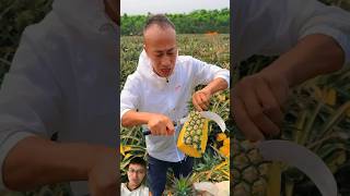 Harvesting a Pineapple Field Giant Golden Juicy Pineapples 🍍 sonasmr [upl. by Doughman]