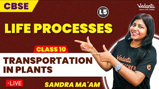 Life Processes L5  Transportation in Plants  Class 10  Sandra maam [upl. by Colene]