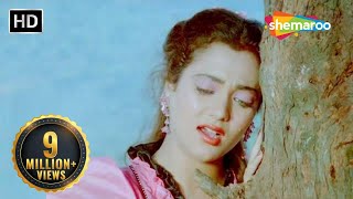 Aawaz Hamari Isi Vadi Mein Part 2  Shoorveer 1988 Mandakini Kavita Krishnamurthy  Hindi Geet [upl. by Norramic]