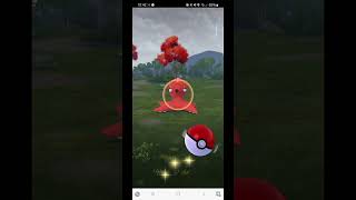 First Catch Octillery in Pokémon Go [upl. by Xino]