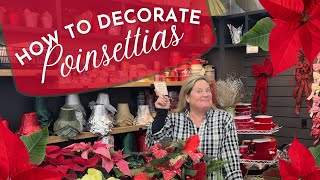 How to Decorate Poinsettias For The Holiday Season and How to Care for Your Poinsettia [upl. by Htebazil661]