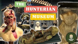 Londons Grisliest Museum A Guided Tour of The Hunterian Surgical Museum [upl. by Akamaozu]