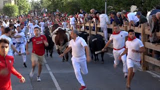 Encierro Tafalla 15082024  Ganadería Hermanas Azcona  Fiestas de Tafalla [upl. by Rudwik]