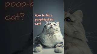 My cat is poopblocked [upl. by Viole]