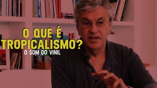 O que é Tropicalismo  O Som do Vinil  Tropicália ou Panis et Circensis Parte 1 [upl. by Subir]