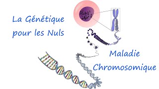 Maladie Génétique Chromosmique [upl. by Ioved972]