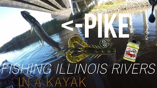 They LOVED the KRACKIN CRAW Des Plaines River Kayak Fishing [upl. by Assillim55]