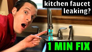 EASY FIX Kitchen Faucet Leaking How to fix a leaky kitchen faucet in 1 minute [upl. by Ruy616]