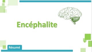 Encéphalite amp MéningoEncéphalite 🧠🩺  Résumé  Neurologie [upl. by Cirek]