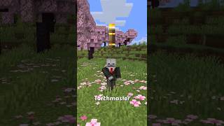 Mini Mod Reviews  Torchmaster Torchmaster minecraft mod [upl. by Hannie]