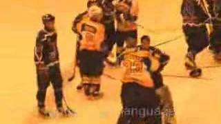 Romford Raiders vs Swindon Wildcats Brawlfight [upl. by Gambrell]