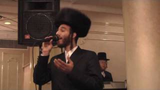 Berry Weber Singing At A Wedding 6 HD Video [upl. by Schulze]