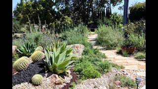 Our Cal Native Plant Garden at 3 Years  Macro amp Microclimate  SoCalNPG  Ep20 [upl. by Hanafee787]