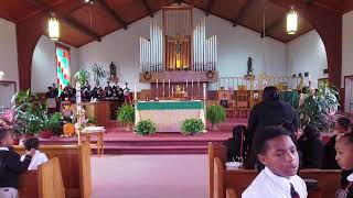 St Thomas More Catholic Academy  Friday November 1 2024 Mass [upl. by Akenit]