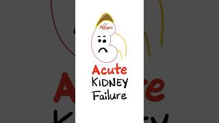 Prerenal Azotemia  Acute Renal Failure  Acute Kidney injury AKI nephrology mbbs nurse doctor [upl. by Anaderol102]