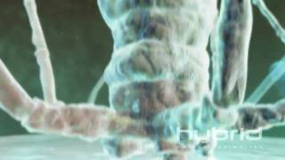 Bacteriophage Hybrid Medical Animation HD [upl. by Airdnna200]