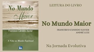 Livro No Mundo Maior  Chico XavierAndré Luiz  Na Jornada Evolutiva [upl. by Meisel986]