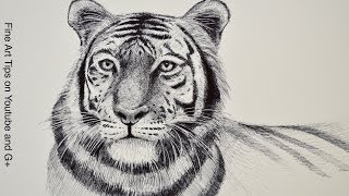 Free Drawing Tutorials Learn to Draw With Fine ArtTips [upl. by Fu]