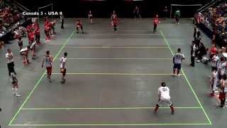 Canada vs USA  Mens Final Full Match  2014 WDBF Dodgeball World Championship [upl. by Srini]