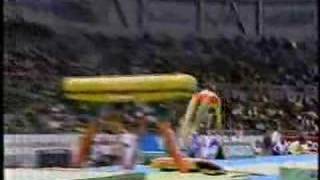 Mo Huilan  1995 Worlds AA  Vault 1 [upl. by Yesnek36]