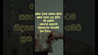 නිවන් දකින්න කාලය පැමිණ ඇත nibbana motivation dhammadesna [upl. by Arawaj860]