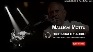 Malligai Mottu High Quality Audio Song  Ilayaraja [upl. by Wenona37]