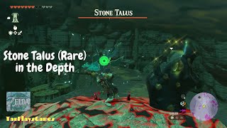 All Stone Talus Rare in Depth Location  Zelda Tears of The Kingdom [upl. by Estey949]