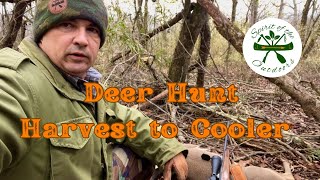 Deer Hunt Harvest to Cooler [upl. by Goldfinch]