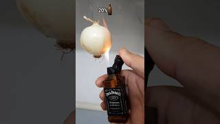 Lighter Test 🆚 Onions 🔥🧅 Unexpected Results Awaitshorts viral challenge [upl. by Agee]