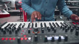 Sequential Pro 3 Synthesizer Live Demo One Take [upl. by Aibara]