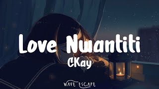 CKay  Love Nwantiti Lyrics [upl. by Fihsak]