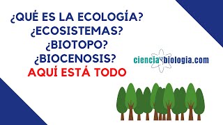 ¿Qué es la ECOLOGÍA 🌳Definición de ecología ecosistema biotopo etc [upl. by Fernas466]