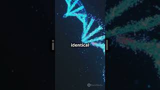 How DNA Replicates Fast amp Simple dna replication biology cellcycle biology foryou trending [upl. by Eerrehs955]