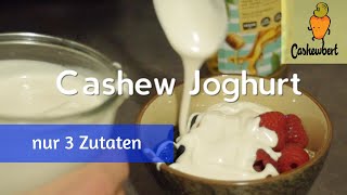 Cashew Joghurt  Super cremig und nur 3 Zutaten [upl. by Viridissa]