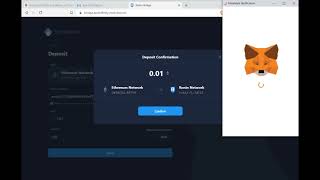 Como enviar criptomoedas da Metamask para Ronin [upl. by Arhoz]