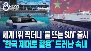 중국 비야디 연구진만 10만 명…한국 공들이는 신흥 강자 속내  SBS 8뉴스 [upl. by Feodora]