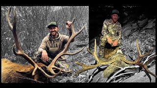 BACKCOUNTRY ELK AND MULE DEER HUNT  quotFROM BUGGIES TO BUGLESquot  S8E11  Limitless Outdoors [upl. by Jehiah653]