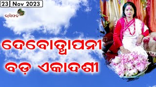 Dr Jayanti Mohapatra  Rashiphala  23Nov2023  Devothhapani Bada Ekadashi  Punchuka [upl. by Koppel]