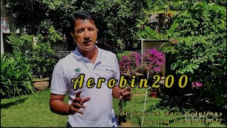 Aerobin 200 after 2 months composting [upl. by Asnarepse737]